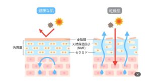 男性肌スキンケアが必要な理由