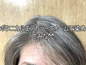 ボタニカルエアカラーフォームで白髪染め